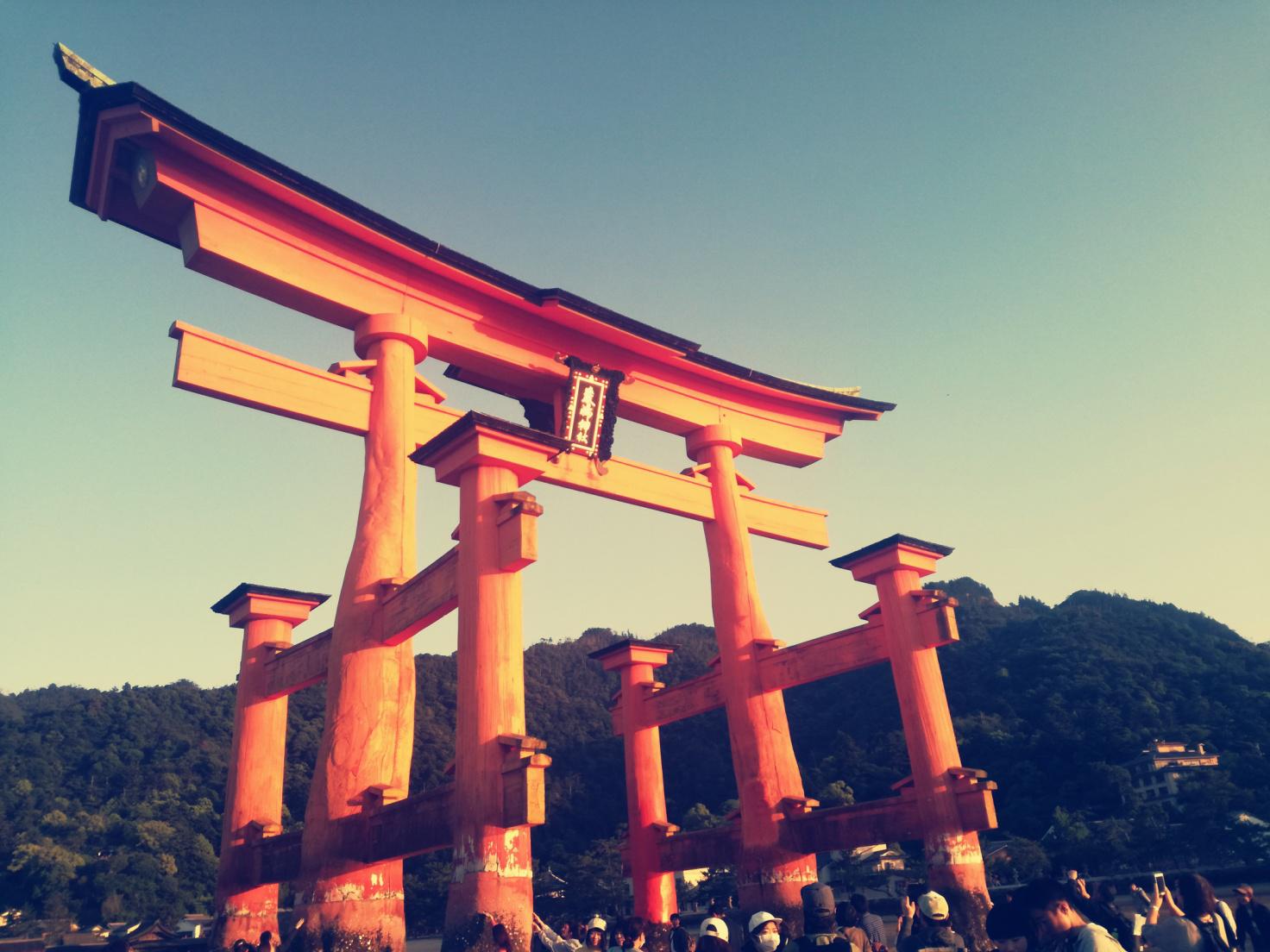  Giappone. La mia guida di viaggio - Togni, Marco - Libri
