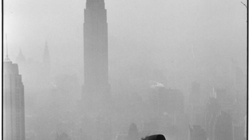 USA. New York. 1955 © Elliott Erwitt