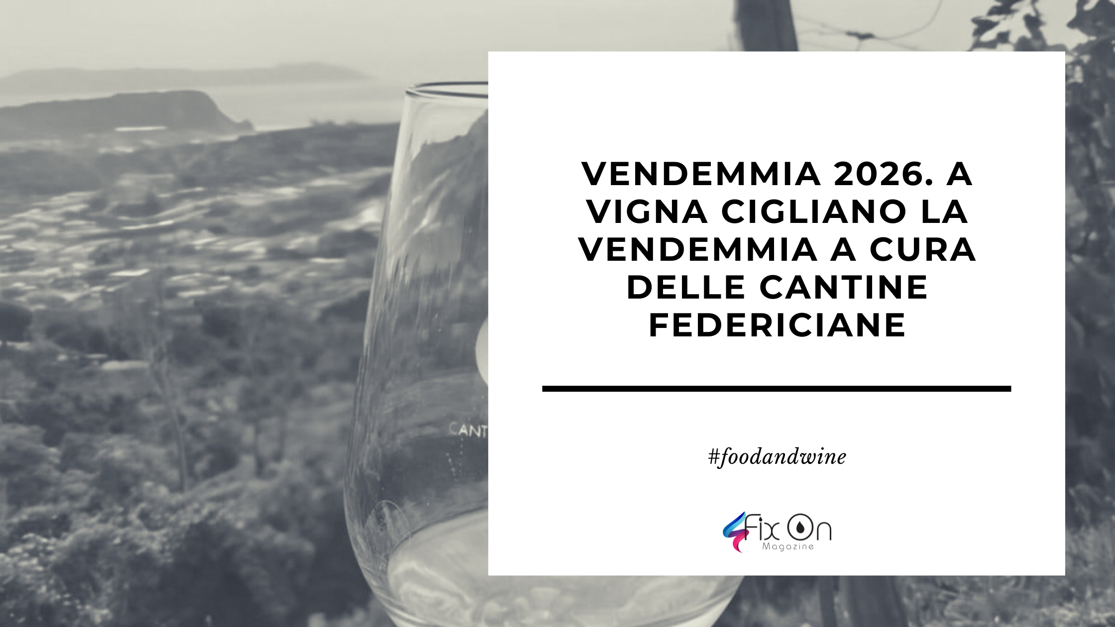 Vendemmia 2026. A Vigna Cigliano la vendemmia a cura delle Cantine Federiciane
